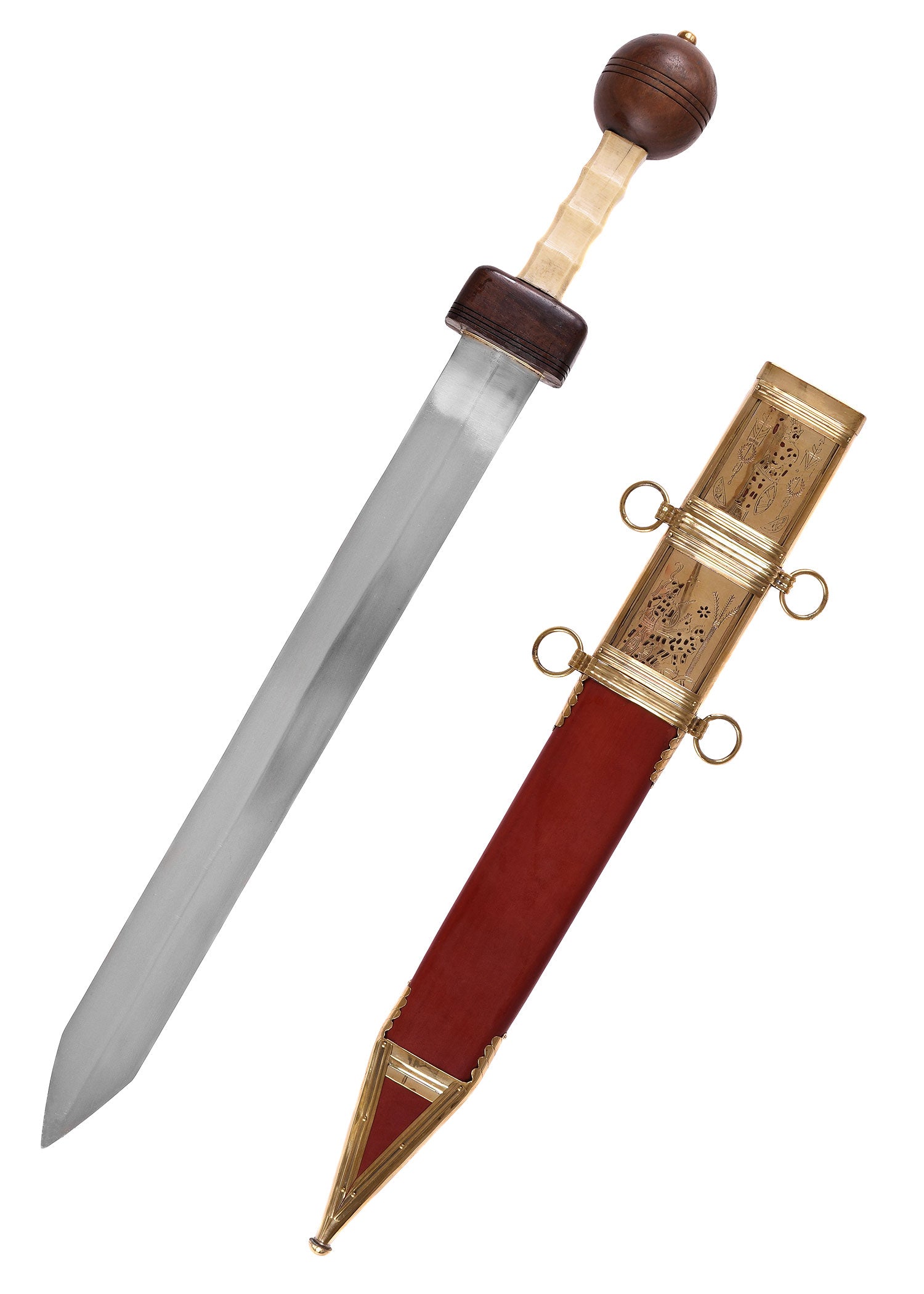 Imagen única de: Pompeya Gladius Con Vaina