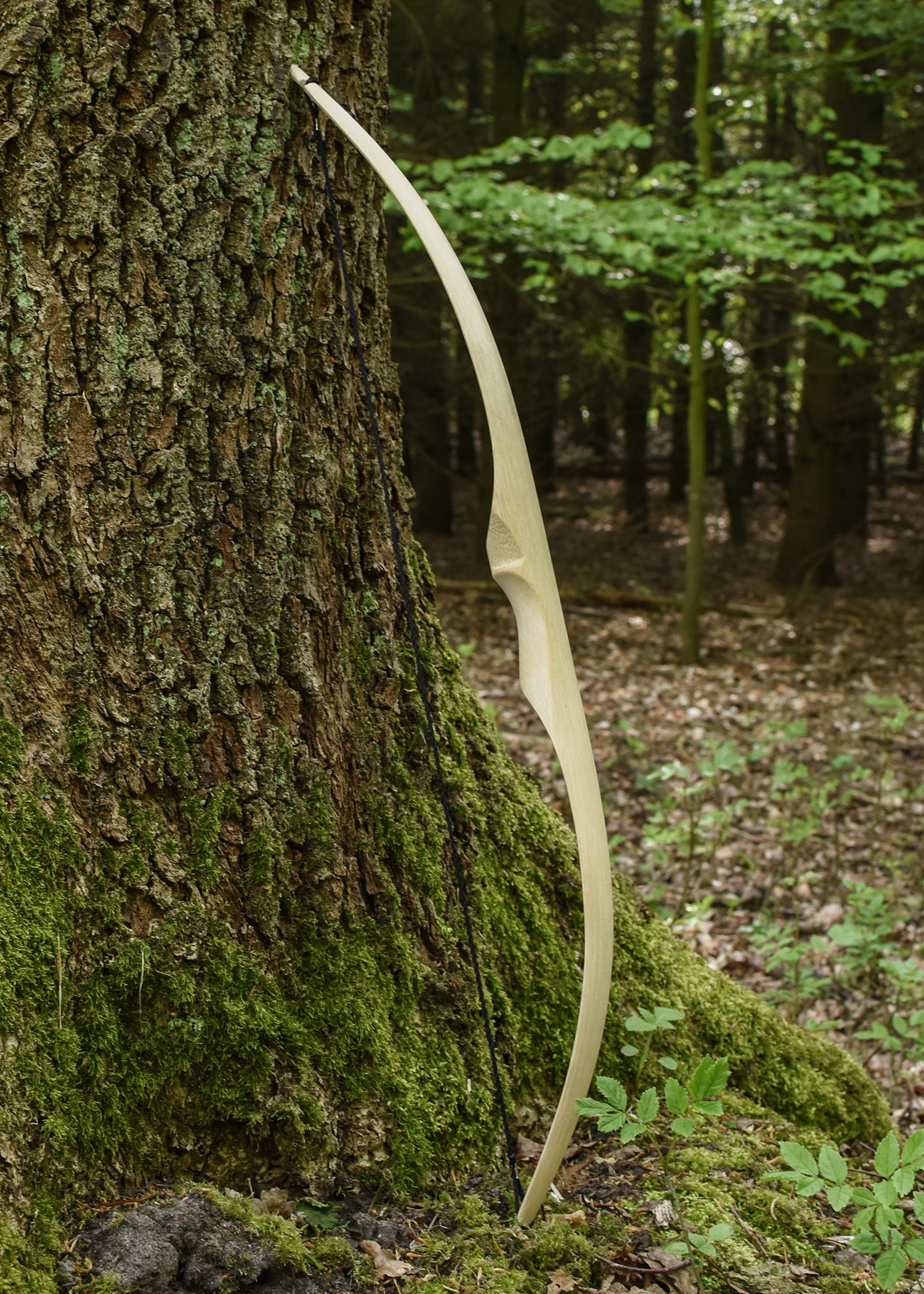 Imagen única de: Arco Infantil Little Archer, 40 Pulgadas, Natural