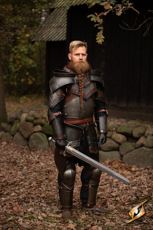 Imagen única de: Armadura Completa De Pícaro