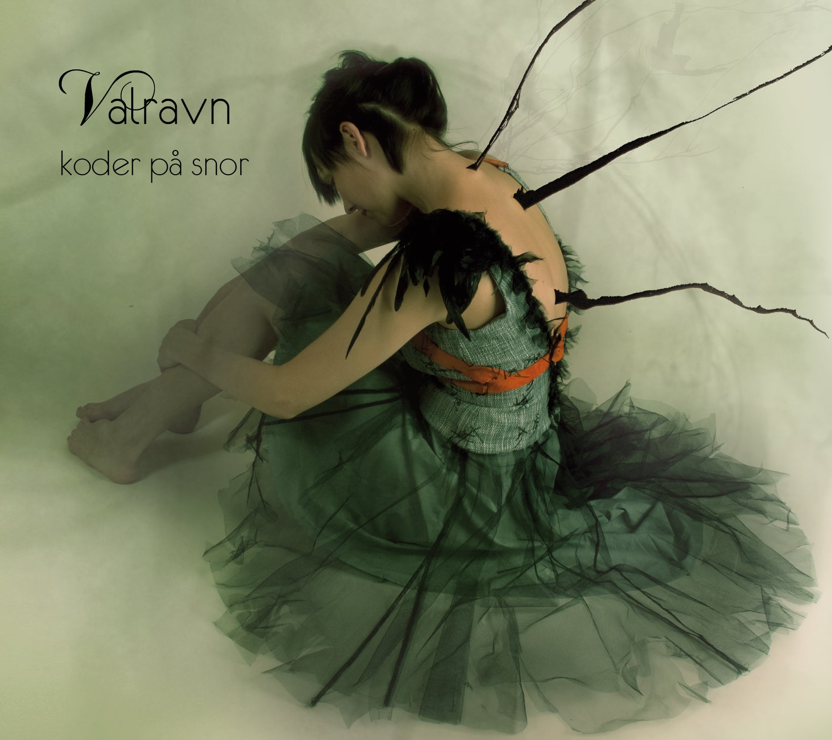 Imagen única de: Valravn - Koder Pa Snor Cd