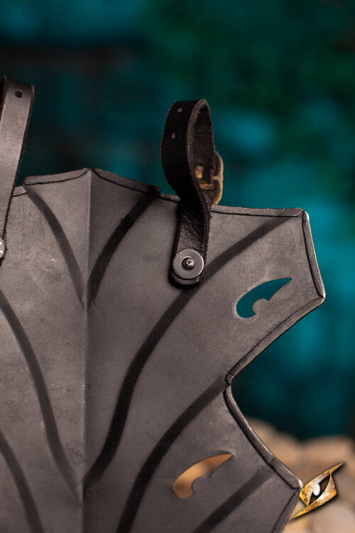 Imagen única de: Escudo Del Cinturón Del Atardecer