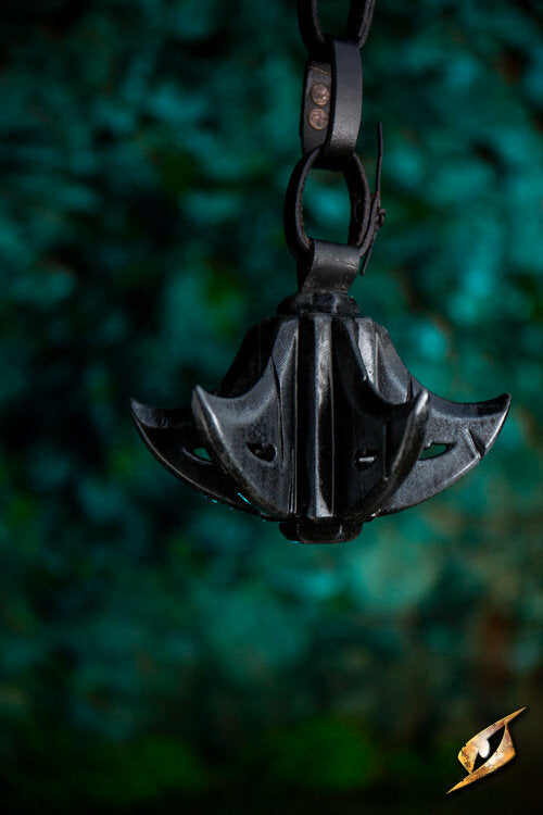 Imagen única de: Cabeza De Mayal Del Atardecer