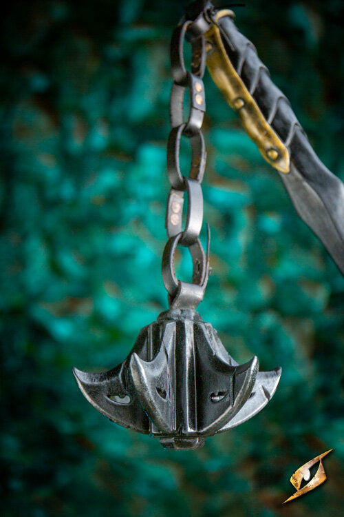 Imagen única de: Cabeza De Mayal Del Atardecer