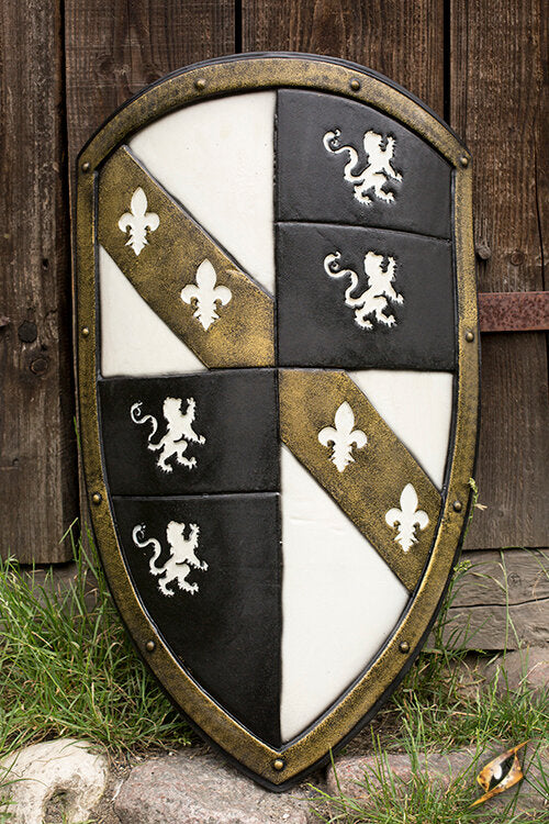 Imagen única de: Escudo De León
