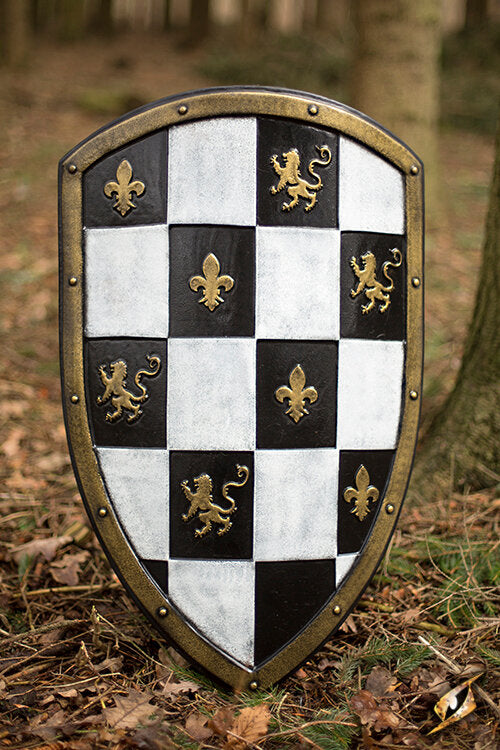 Imagen única de: Escudo A Cuadros