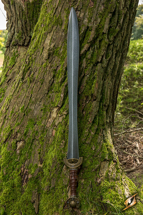 Imagen única de: Espada De Hoja Celta
