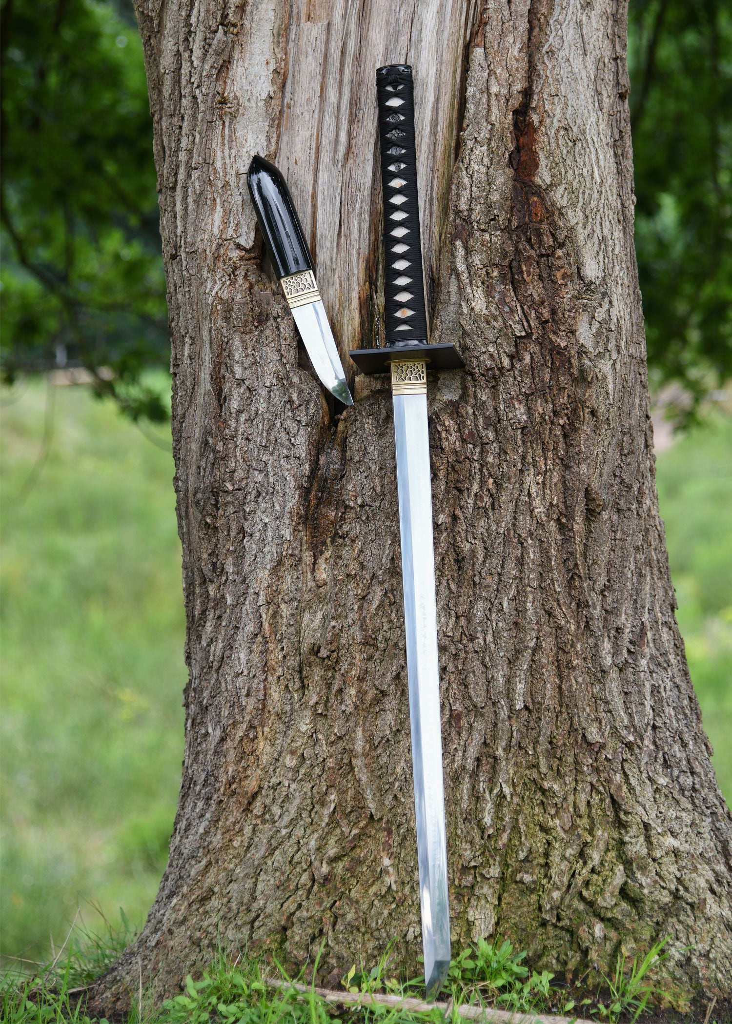 Imagen única de: Shinobi Chokuto, Espadas De Batalla