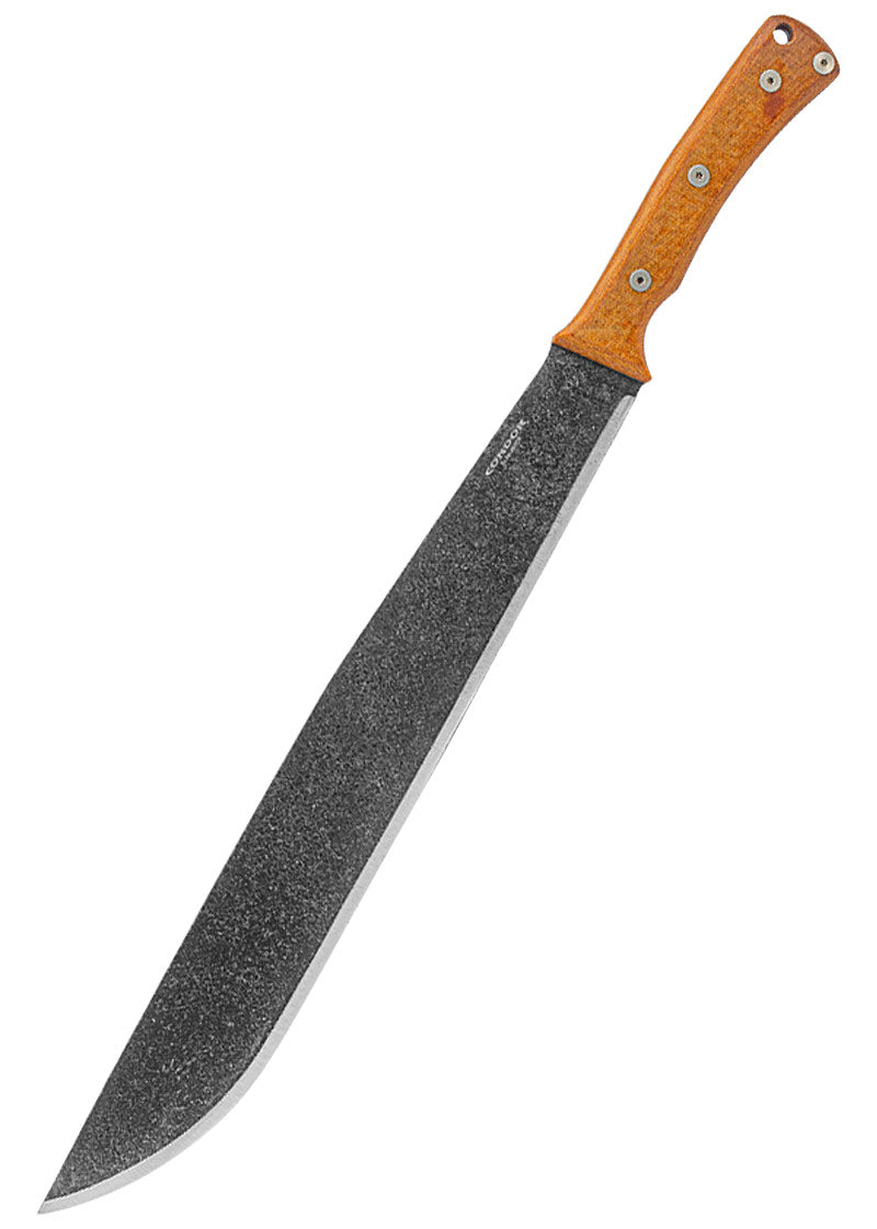 Imagen única de: Paso De Montaña Machete, Cóndor