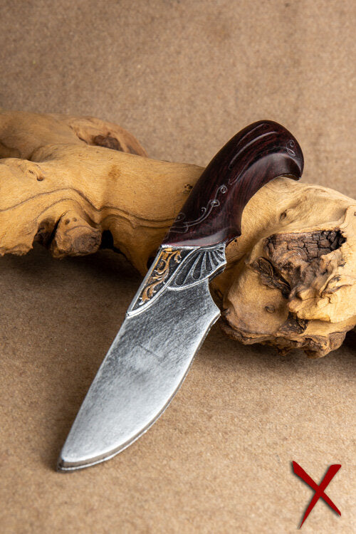 Imagen única de: Quiroptera El Murciélago Cuchillo Arrojadizo