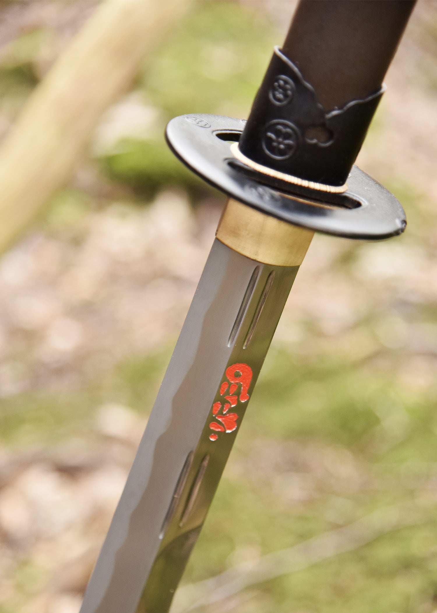 Imagen única de: Naginata, Paul Chen