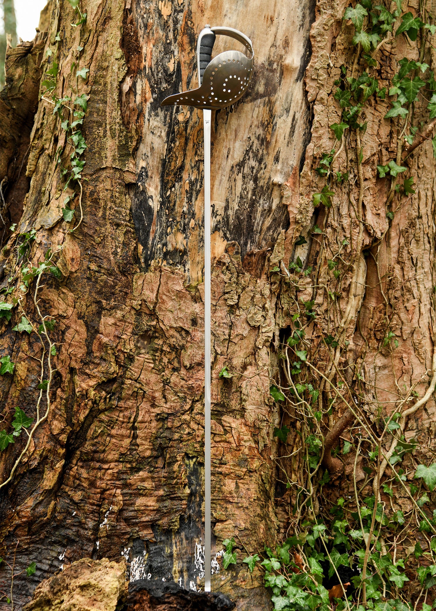 Imagen única de: Sable Pecoraro