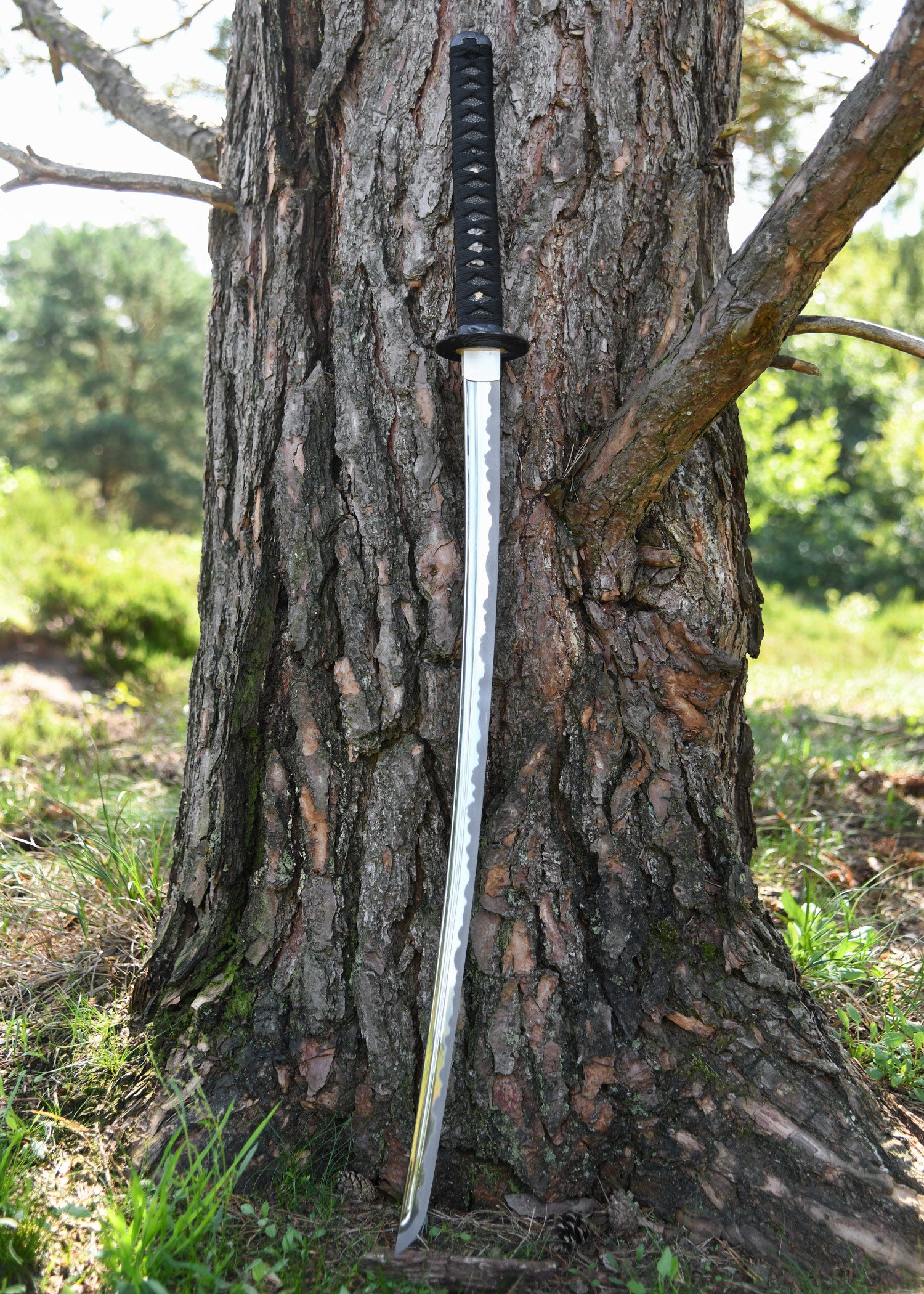 Imagen única de: Tsuru Iaito, Diferentes Longitudes De Hoja