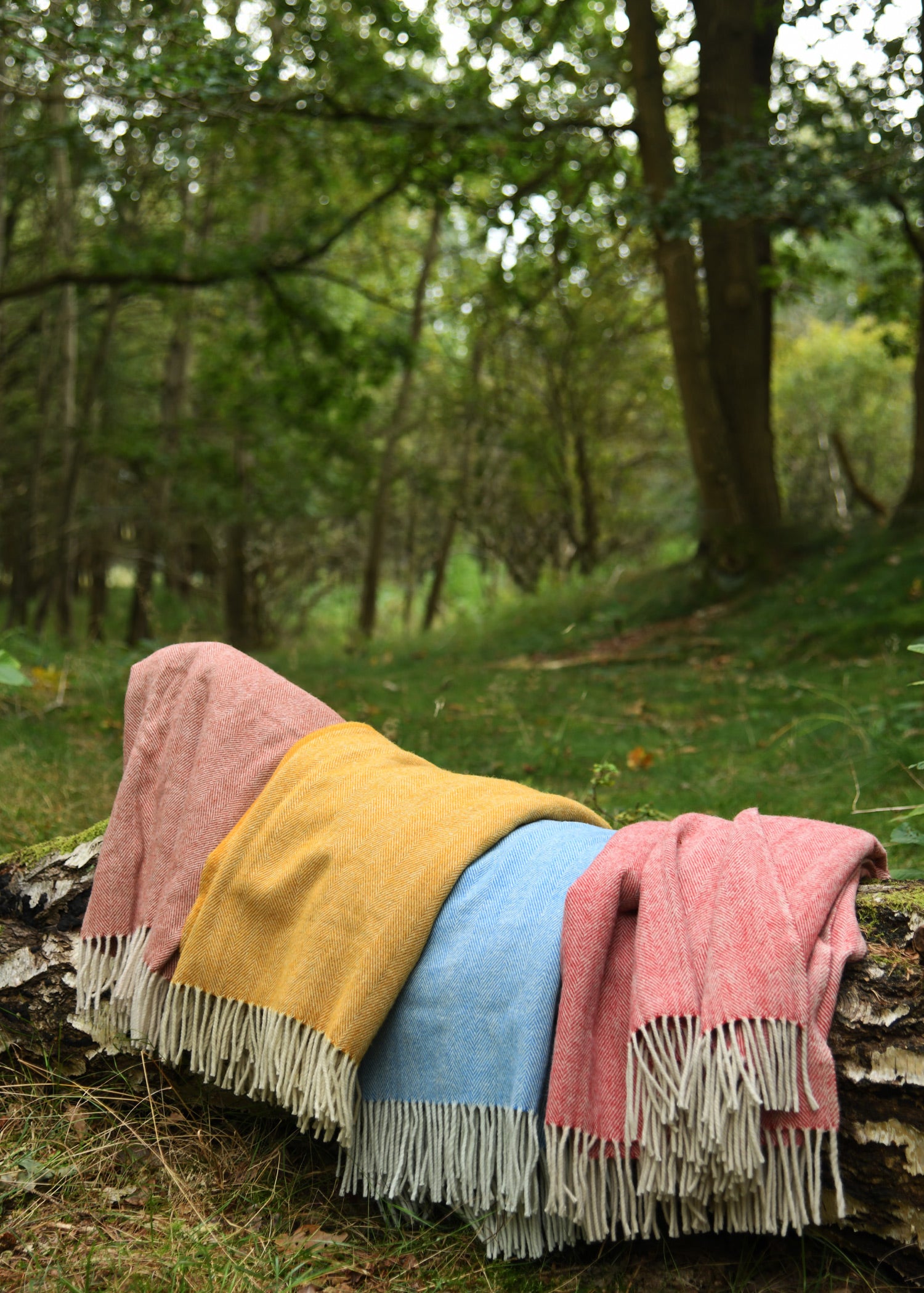 Imagen única de: Abrigo, Manta Y Bufanda De Lana Rectangular En Espiga