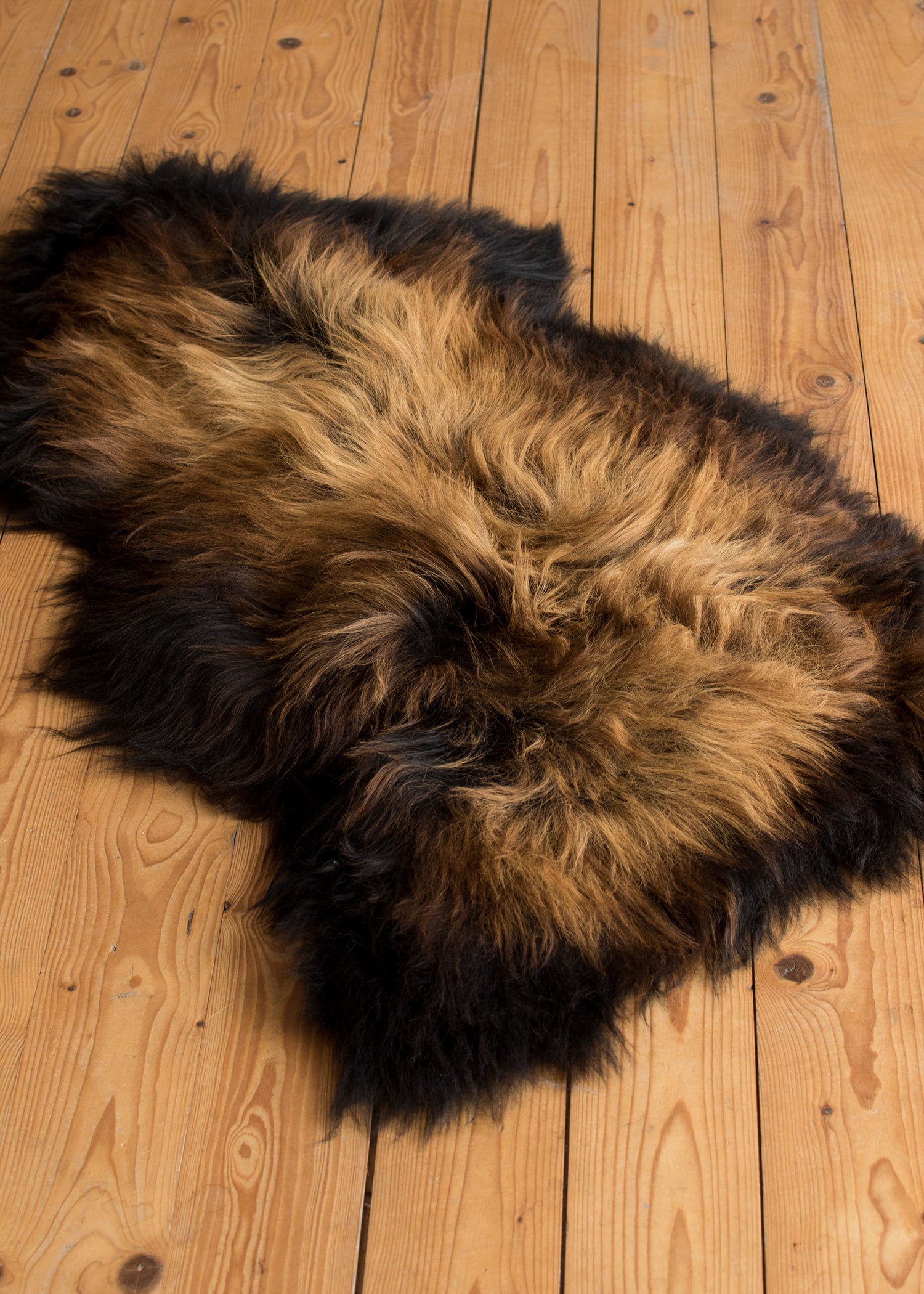 Imagen única de: Piel De Oveja Nordland, Negra Con Puntas Flameadas, Aprox. 115 cm