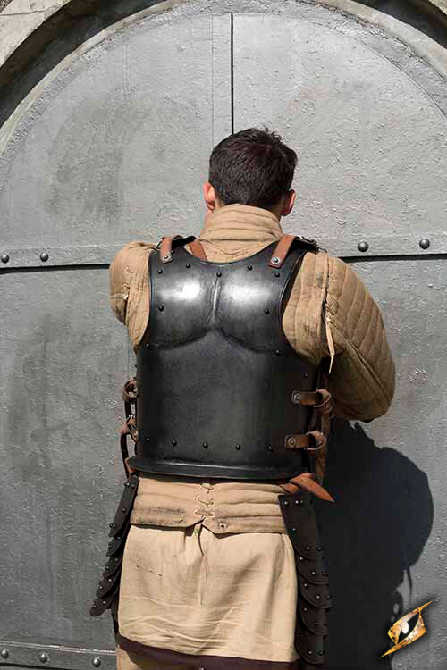 Imagen única de: Armadura Completa De Drake Oscuro