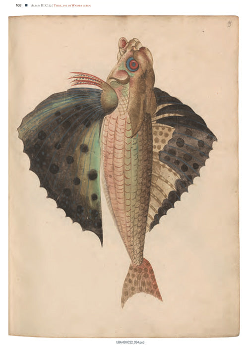 Imagen única de: Thierbuch De Conrad Gessner - Los Dibujos Originales