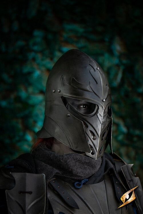 Imagen única de: Conjunto Completo De Armadura Eventide
