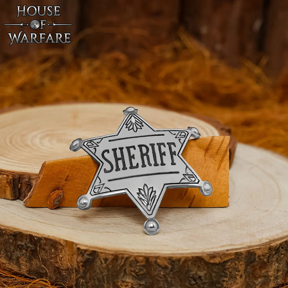 Placa de sheriff - Guerra Civil Americana - imagen 5