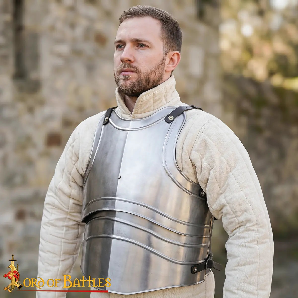 Imagen única de: Coraza medieval de acero pulido — cuatro placas para LARP