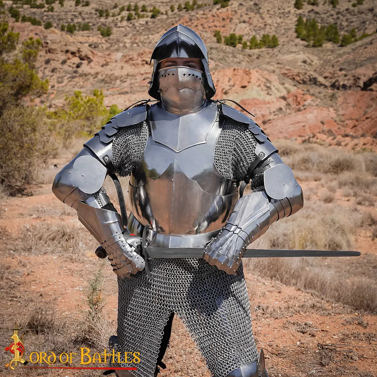 Coraza gótica medieval en acero con correas de cuero - imagen 8