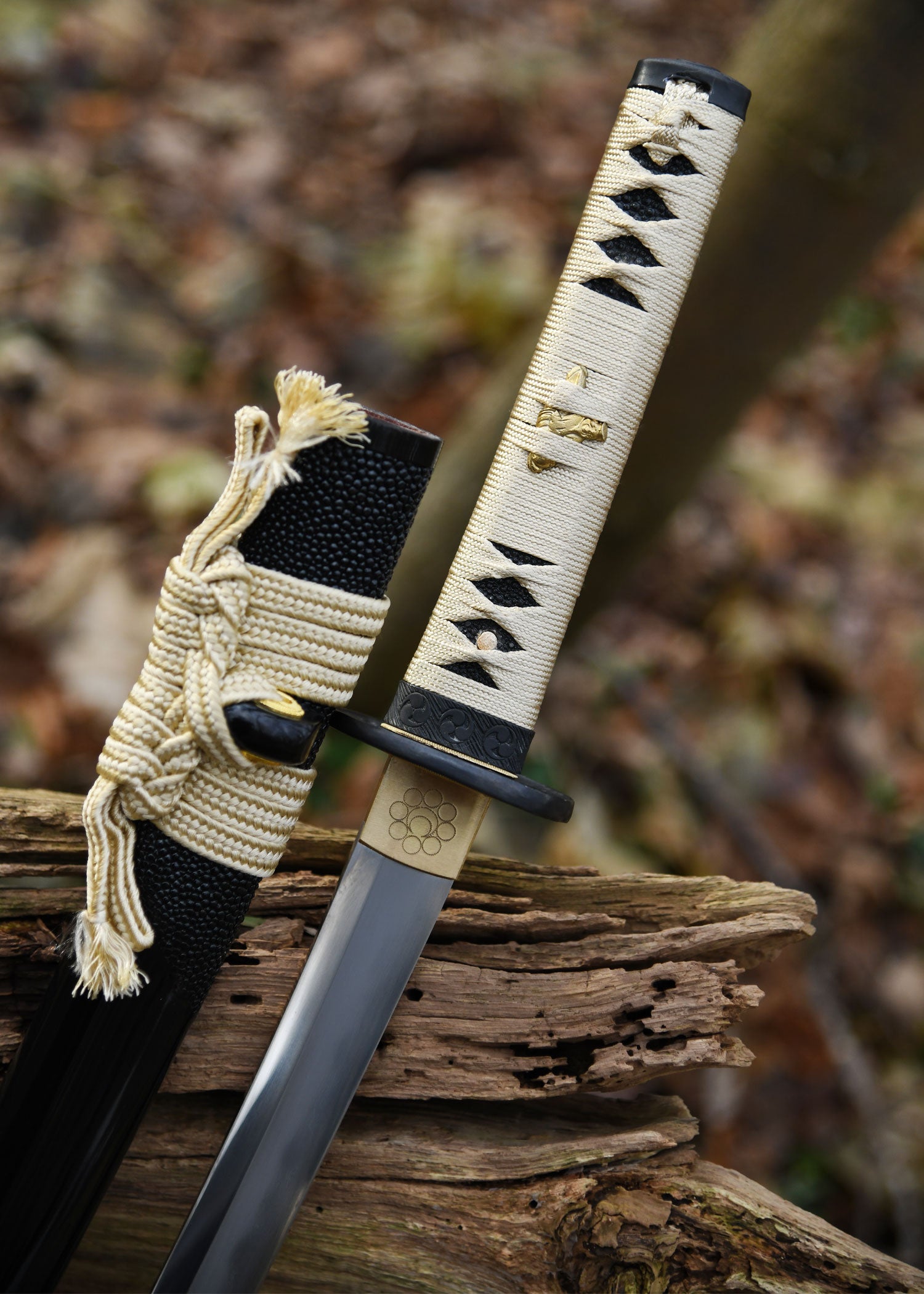 Imagen única de: Kogane No Senshi Honsanmai Wakizashi, Battleblades