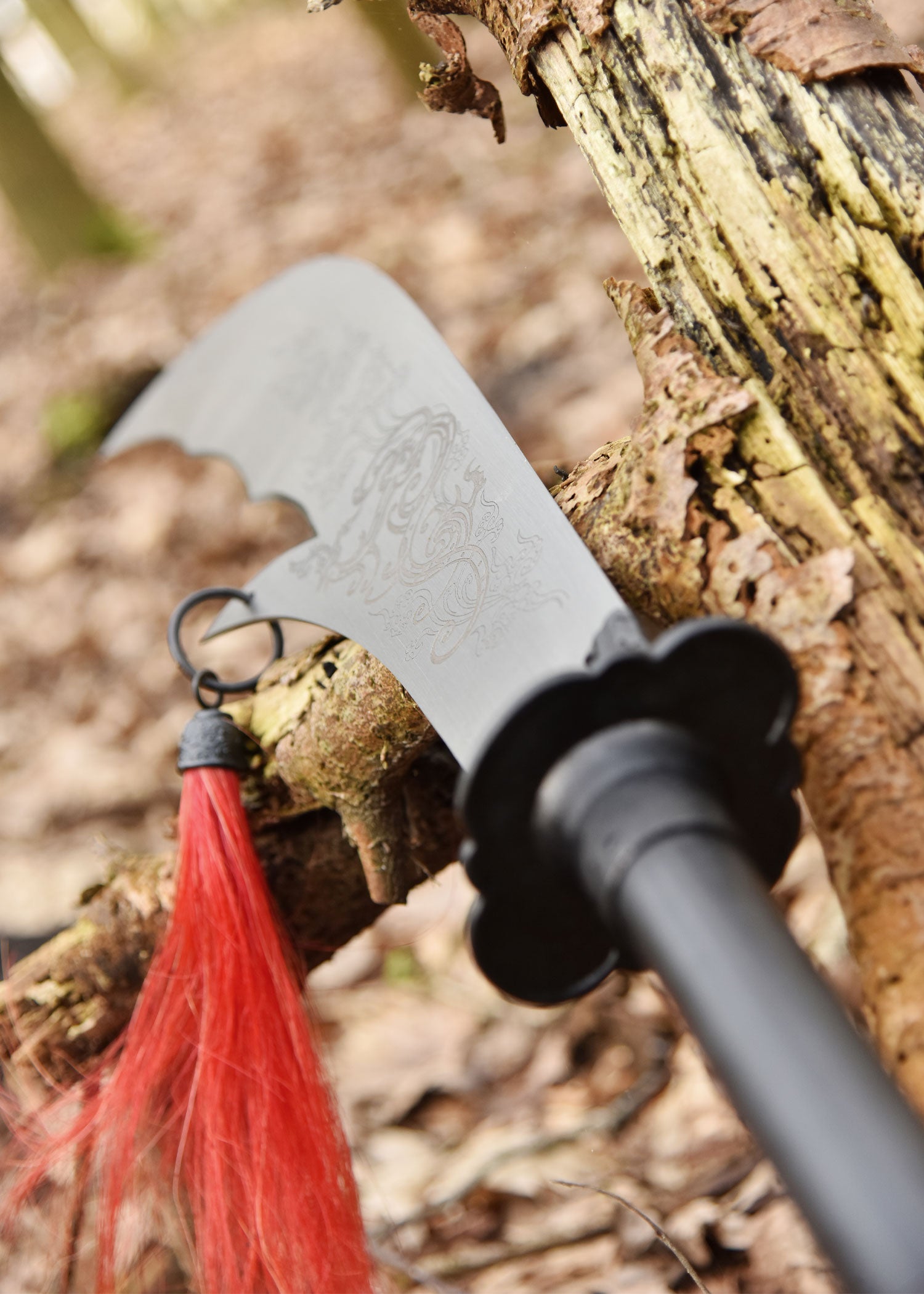 Imagen única de: Hsu Quandao