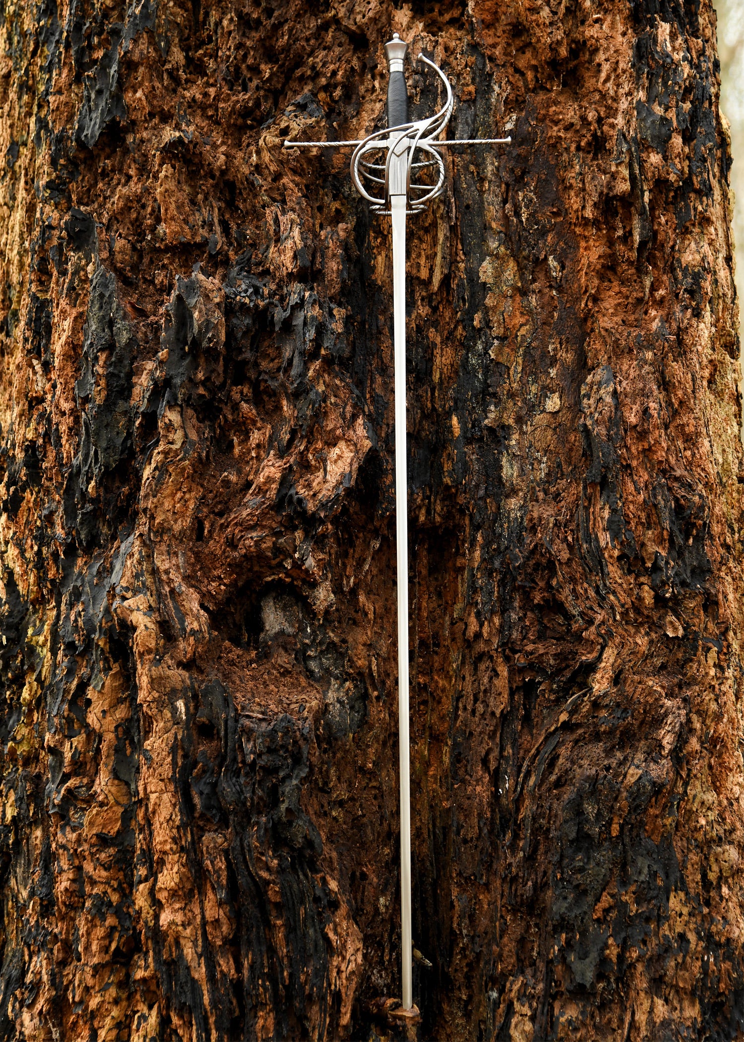 Imagen única de: Estoque De Esgrima Con Hoja De Murciélago