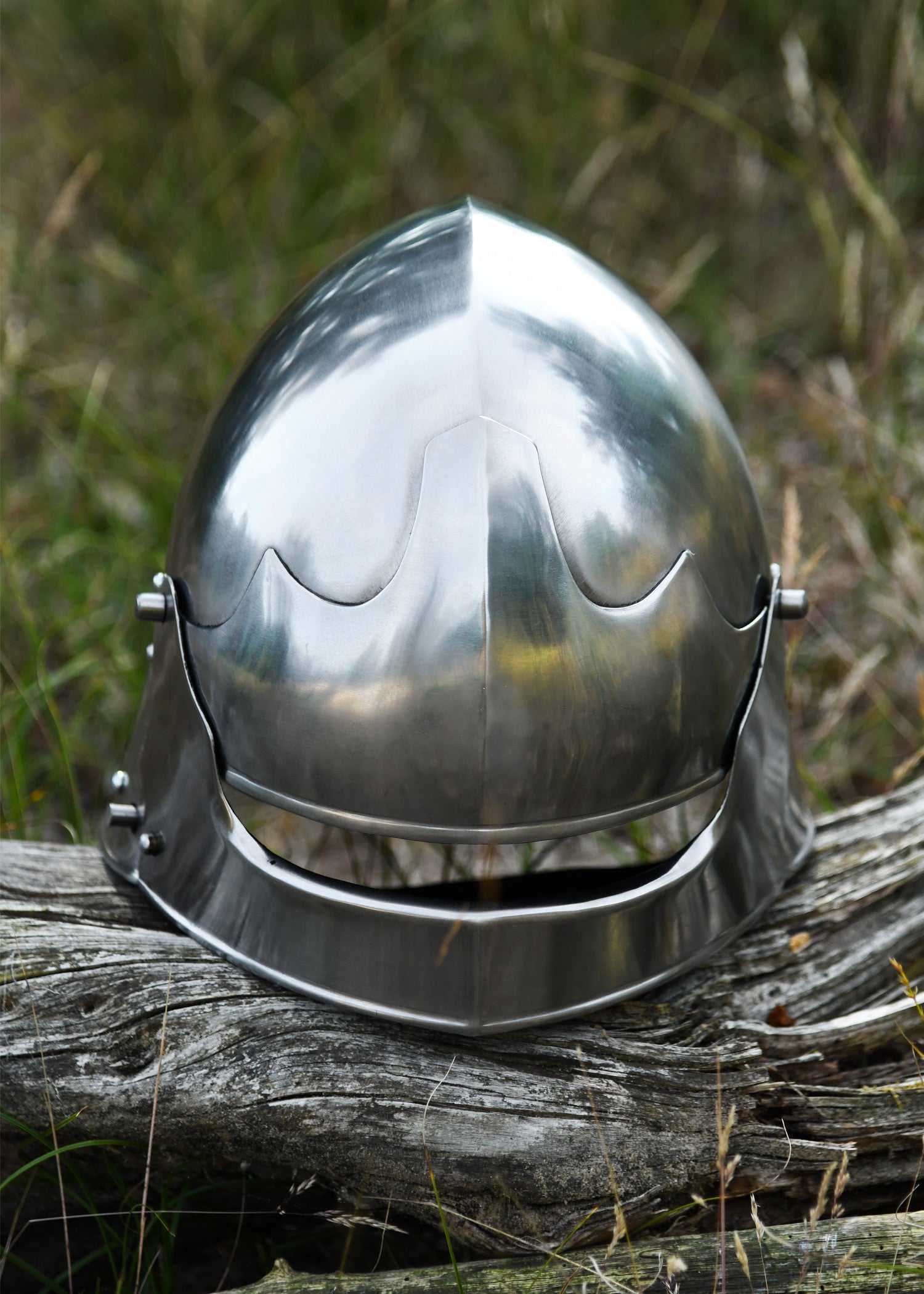 Imagen única de: Schaller Alemán, Ca. 1480, Acero De 2 Mm.