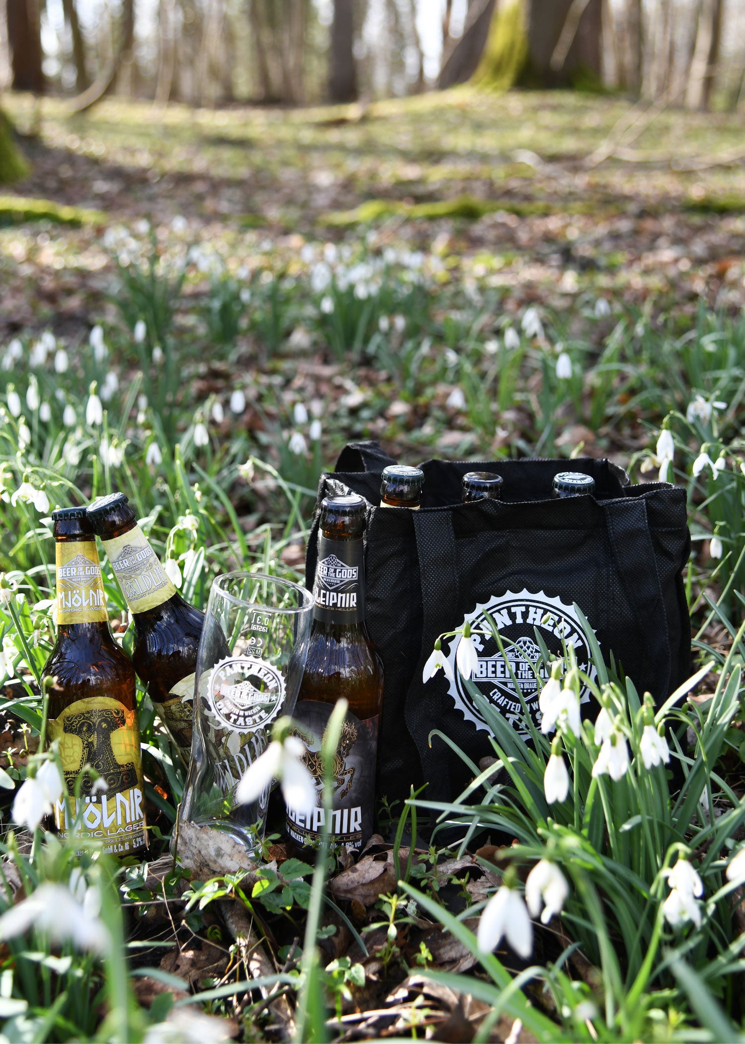 Imagen única de: Valiente Picnic elixir espumoso